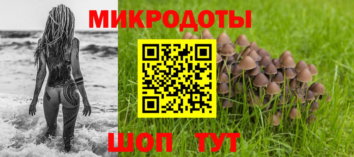 Псилоцибиновые грибы прущие грибы Надым